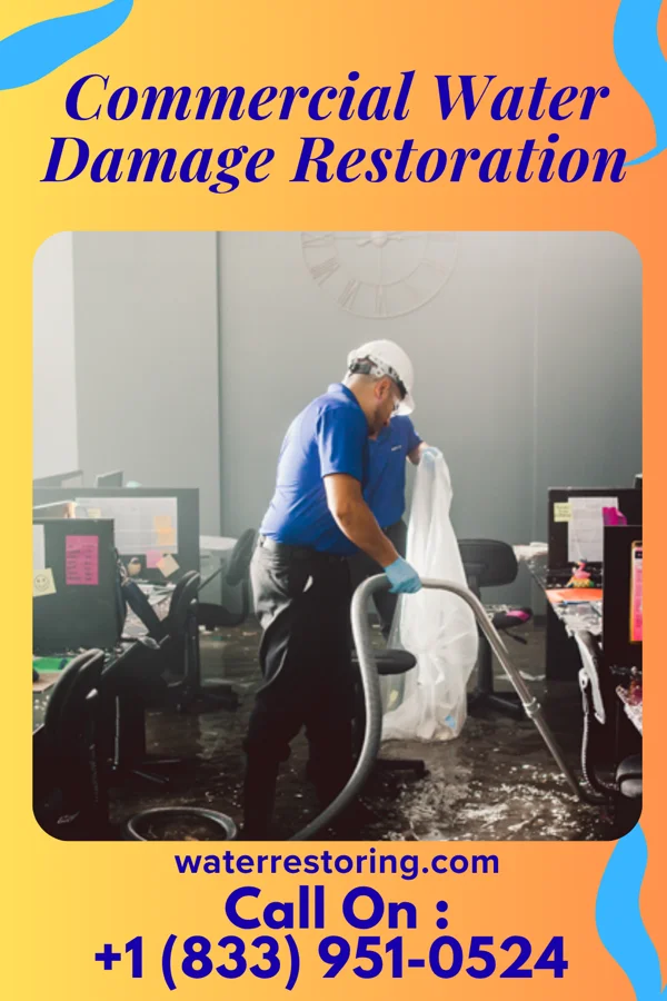 Commercial Water Damage Restoration in Hamlin, TX