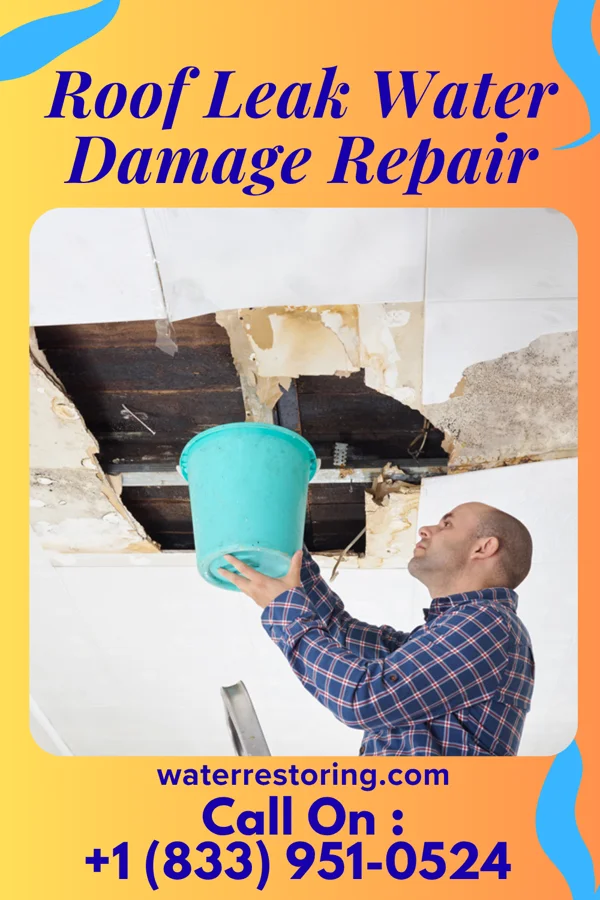 Roof Leak Water Damage Repair in Hamlin, TX
