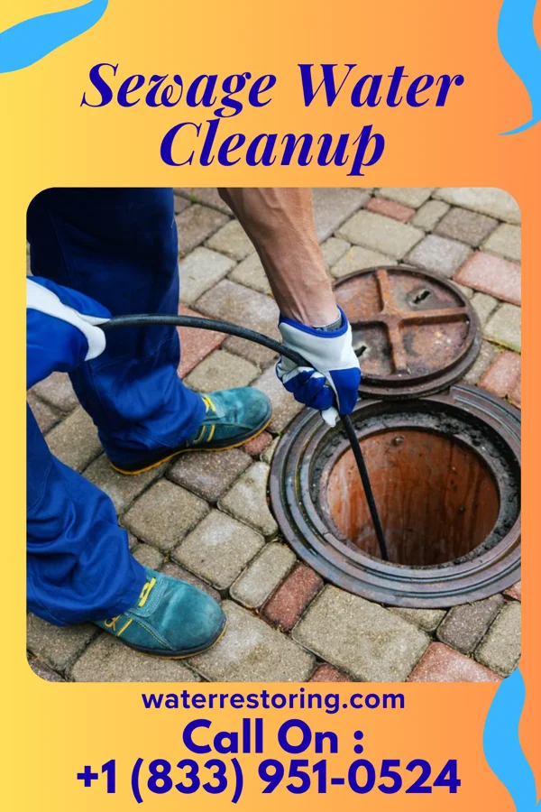 Sewage Water Cleanup in Hamlin, TX